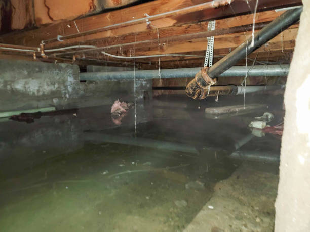 Water damage restoration process in Eastpoint, FL