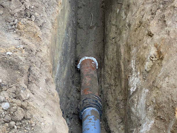 Best Basement water damage restoration  in Eastpoint, FL