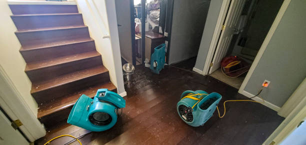 Best Water damage contractors near me  in Eastpoint, FL