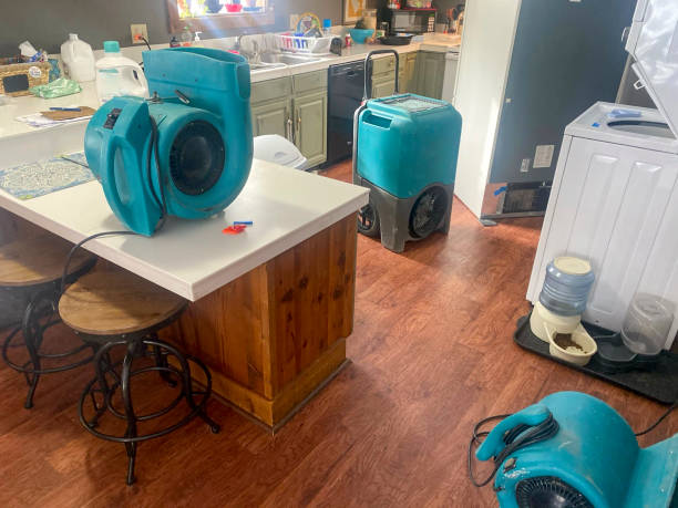 Best Water damage restoration near me  in Eastpoint, FL