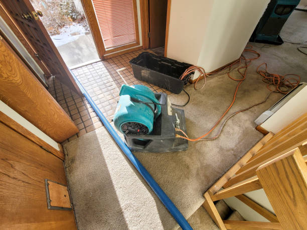 Best Flood restoration services  in Eastpoint, FL