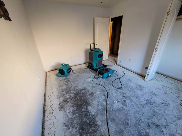 Best Professional water damage repair  in Eastpoint, FL