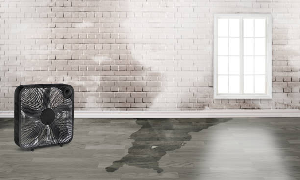 Best Residential water damage restoration  in Eastpoint, FL