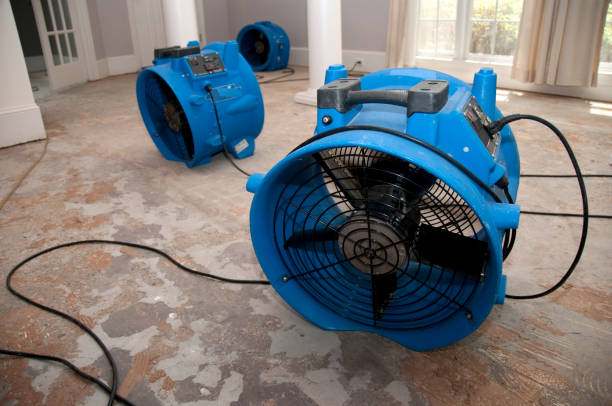 Best 24-hour water damage restoration  in Eastpoint, FL
