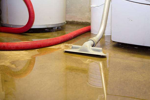 Best Ceiling water damage repair  in Eastpoint, FL