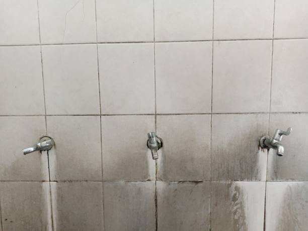 Best Water damage cleanup near me  in Eastpoint, FL