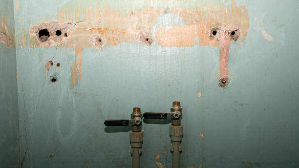 Best Flood damage cleanup  in Eastpoint, FL