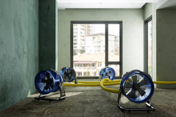 Best Water damage restoration near me  in Eastpoint, FL