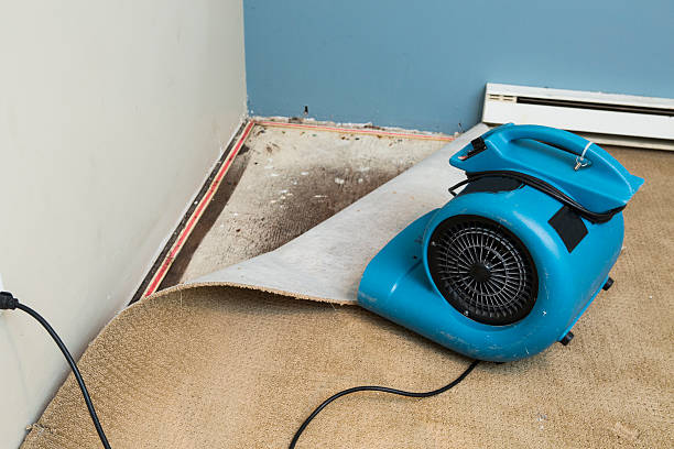 Best Local water damage restoration  in Eastpoint, FL